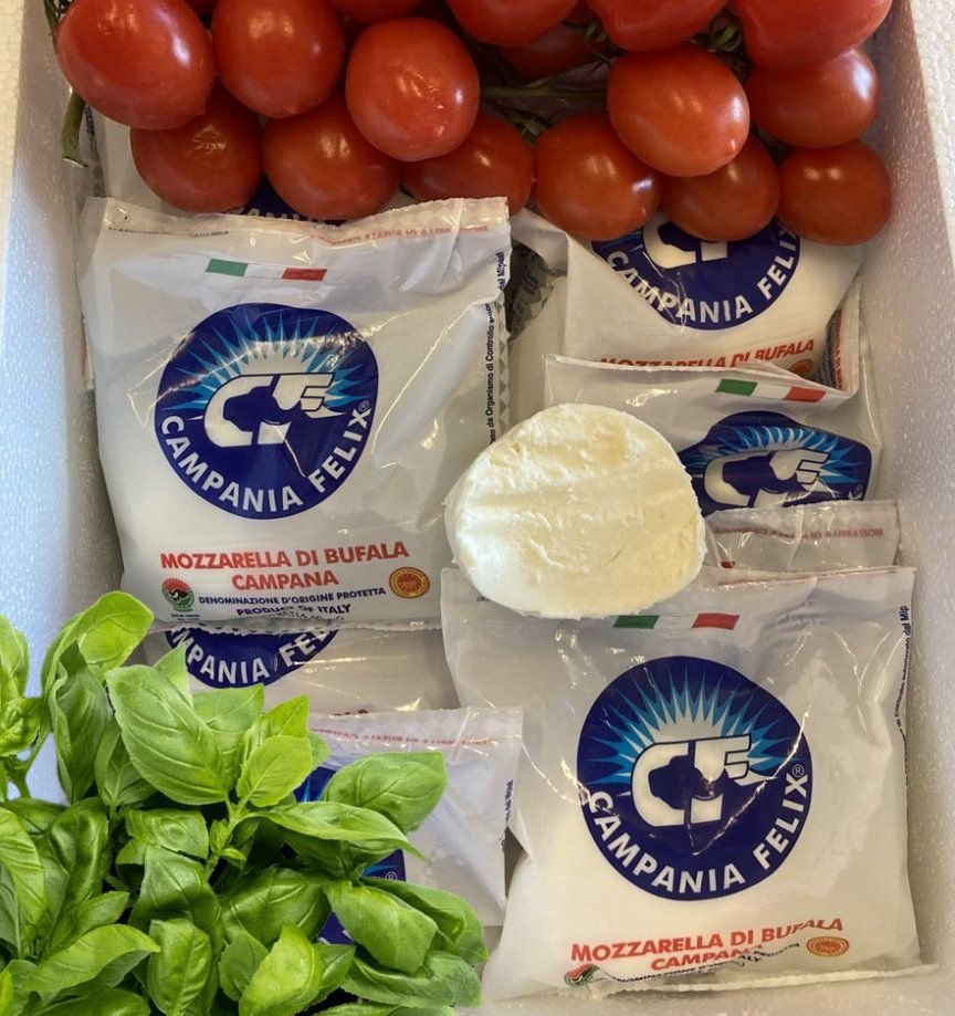Bøffelmælks-mozzarella
